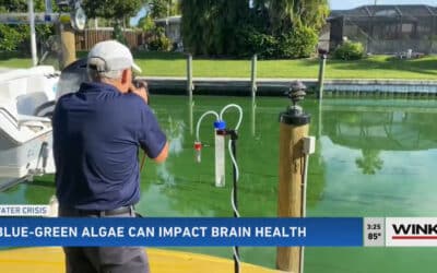 Calusa Waterkeeper Looking at Effects of Blue-Green Algae Toxins