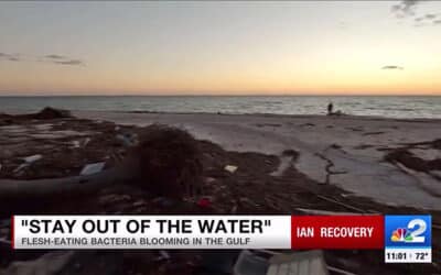 Red Tide Blooms and Flesh-eating Bacteria Detected on SWFL Coast