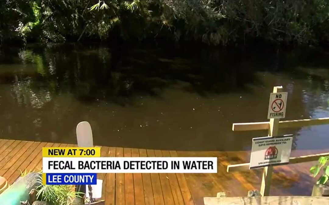 Fecal Bacteria Returns to Lee County Waters