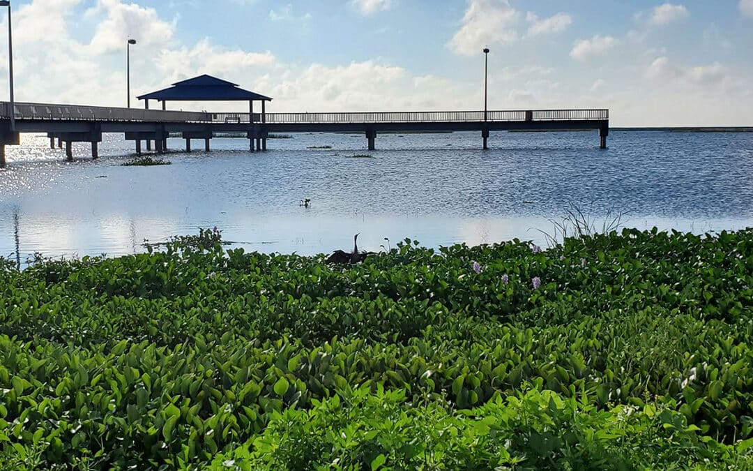 Lake Okeechobee leveling off after rains from Hurricane Ian but there’s still a threat