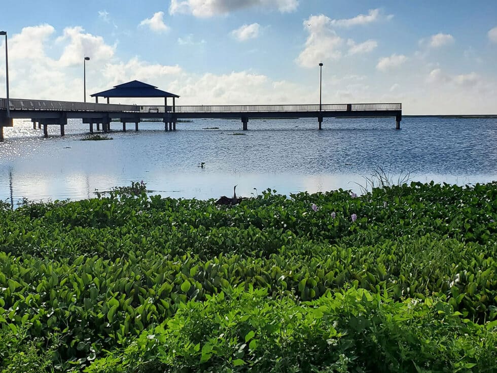 Lake Okeechobee leveling off after rains from Hurricane Ian but there's ...