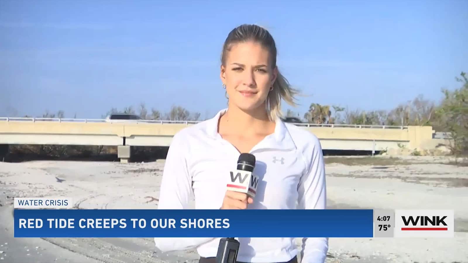 Red Tide Blooms Appearing Along the Southwest Florida Coast - Calusa ...
