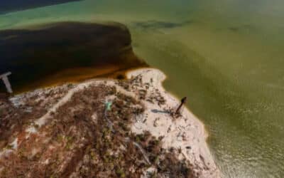 Drone Captures Crimson Tide of Nutrient-Polluted Stormwater Flowing from Caloosahatchee Post-Ian