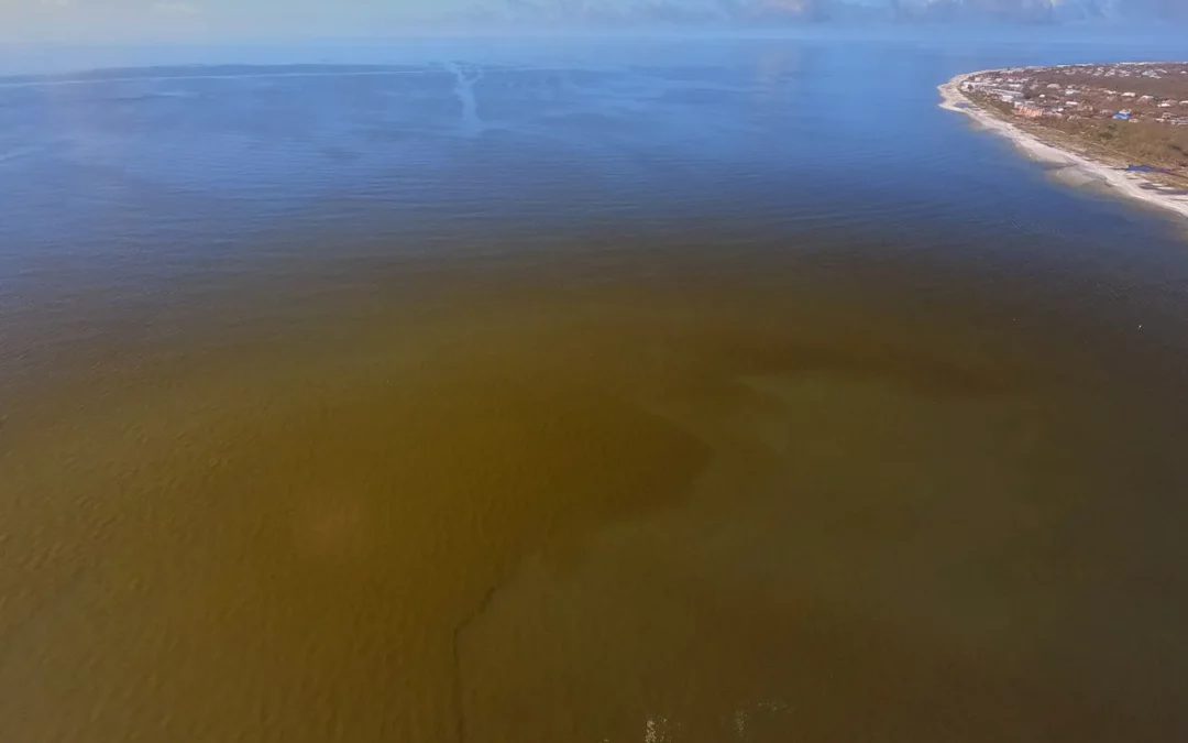 Red Tide Bloom Moves into Lee County Waters as Fish Kills Reported in Pine Island Sound