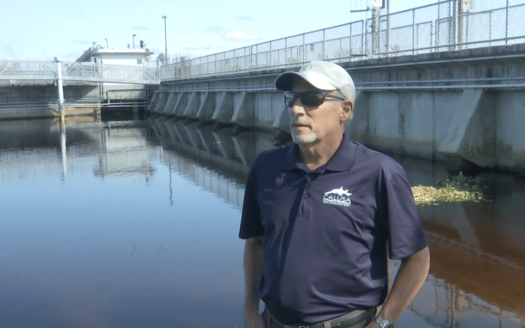 Red Tide Getting Worse in Southwest Florida