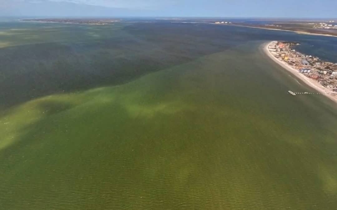 Red Tide Lurking in Southwest Florida
