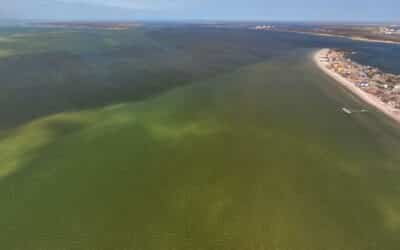 Red Tide Lurking in Southwest Florida
