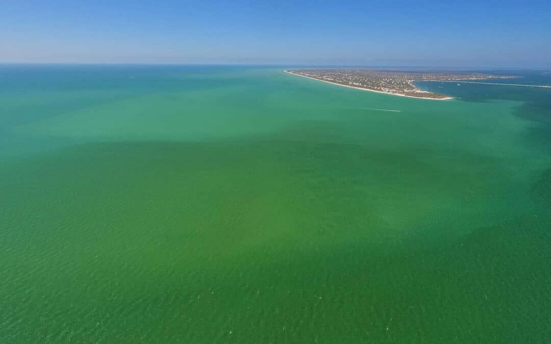 Warm Gulf Waters Could Mean Stronger Storms & Algae Blooms
