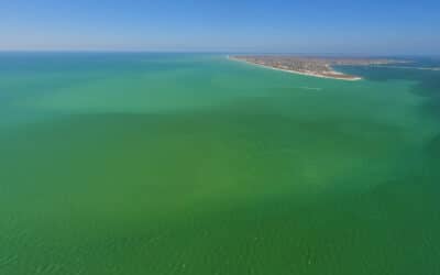Warm Gulf Waters Could Mean Stronger Storms & Algae Blooms