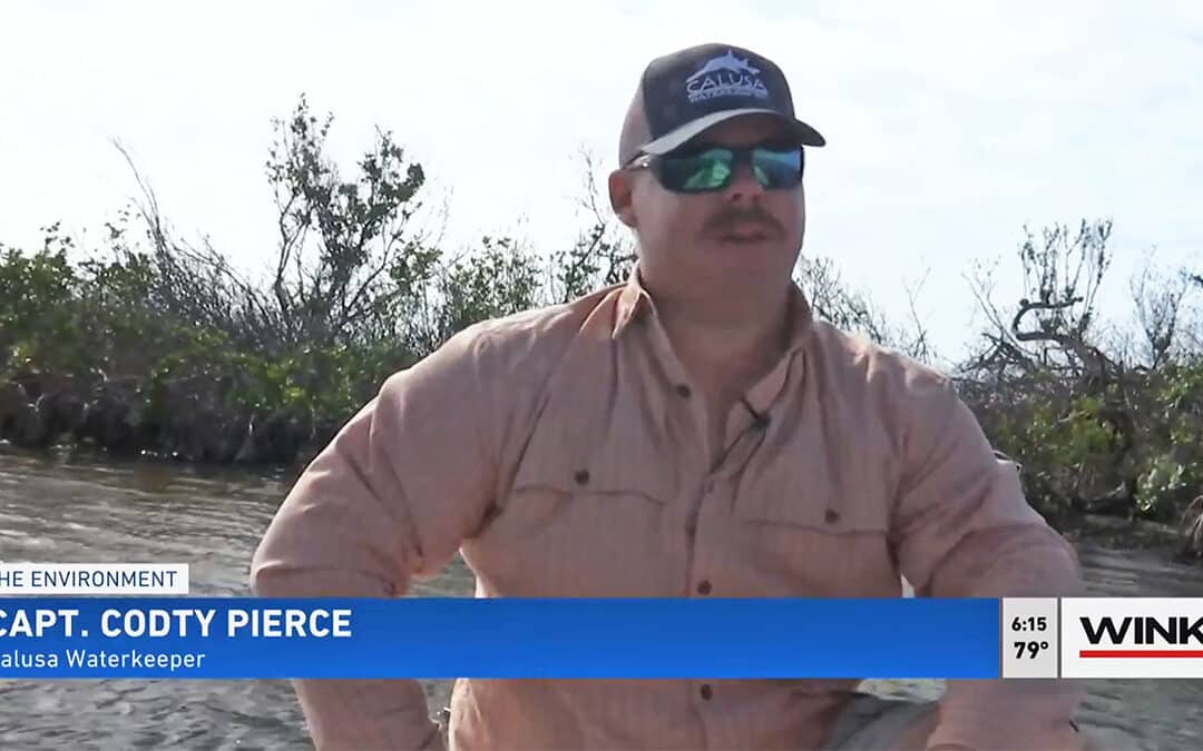 Understanding How Mangroves Defend the Coastline of Southwest Florida