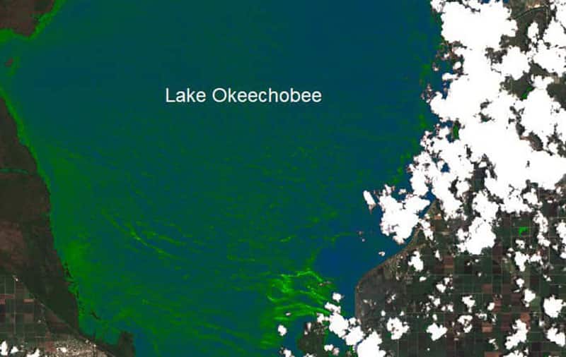 Lake Okeechobee Sentinel satellite imagery