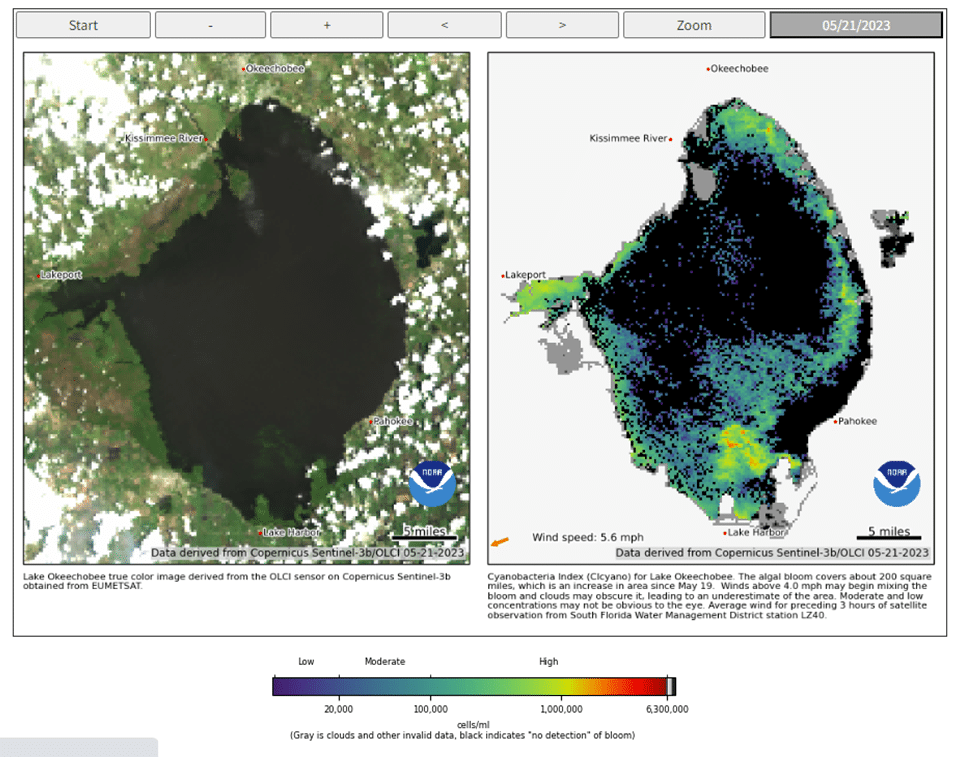 Lake O Satellite