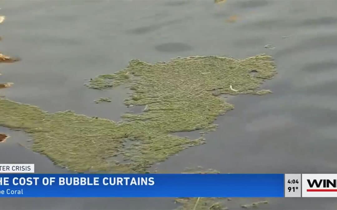 Who Pays for the Technology Aimed at Keeping Blue-Green Algae at Bay in Cape Coral?