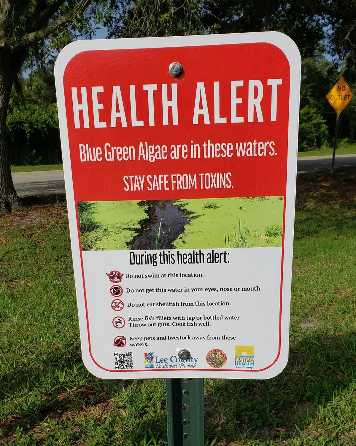 Health Alert Blue Green Algae warning sign