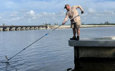 It’s easy to find fecal pollution in SWFL waters; what’s hard is finding how to stop it