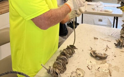 Calusa Waterkeeper Hosts Successful Vertical Oyster Garden Workshop
