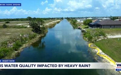 Is water quality impacted by heavy rain? An expert weighs in