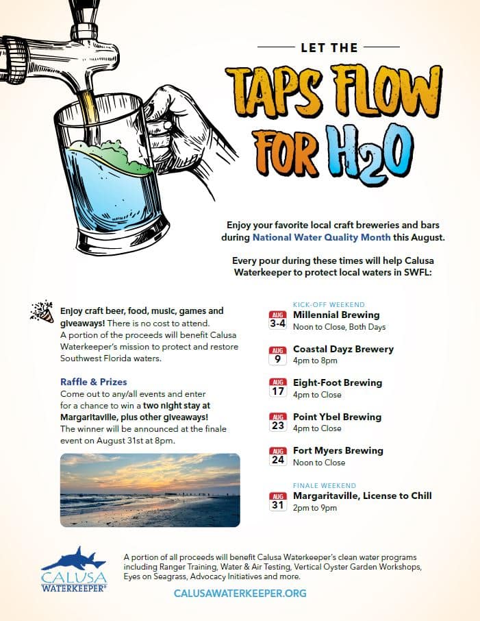 Taps Flow flier