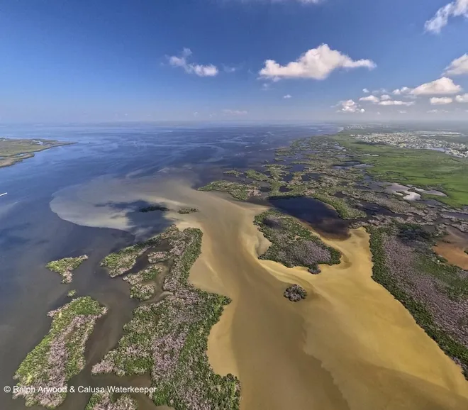 Fish kill in Matlacha over, waters cleared weeks after Tropical Storm Debby