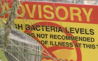 Fecal bacteria continues to be found in extremely high levels in Lee County waters