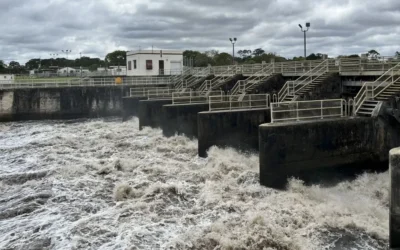 New release plans for Lake O may reduce red tide in Gulf