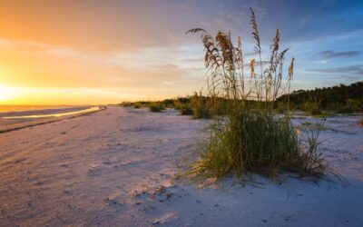 What does potential changes to several Florida State Parks mean for SWFL?