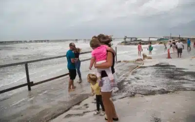 Red tide showing up offshore, fecal indicator bacteria counts high after hurricanes