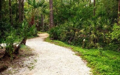 Calusa Nature Center and Calusa Waterkeeper Team Up