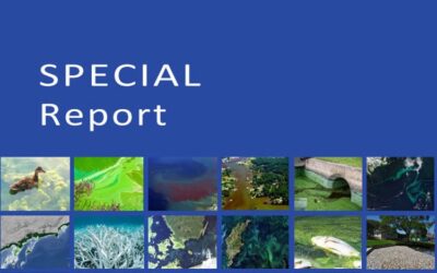 Calusa Waterkeeper Featured in HAB Special Report by Ocean Grants