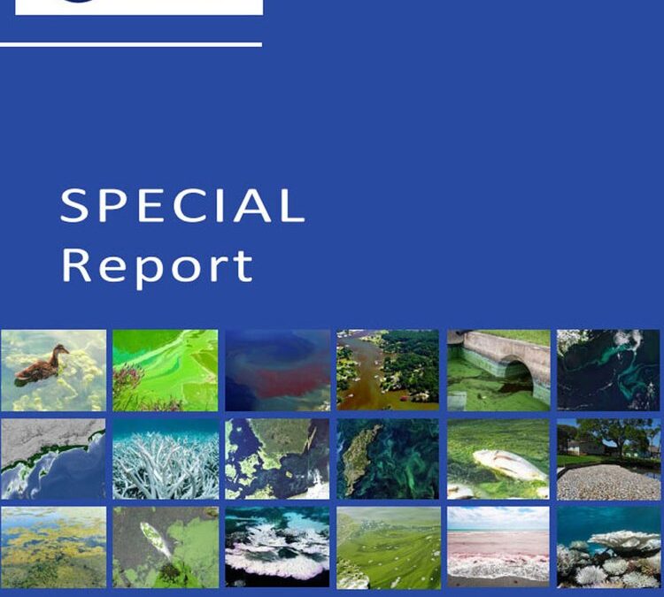 Calusa Waterkeeper Featured in HAB Special Report by Ocean Grants