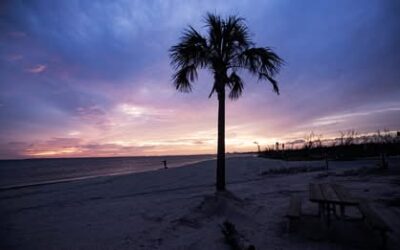 Toxic red tide still being found offshore of Lee County, Collier