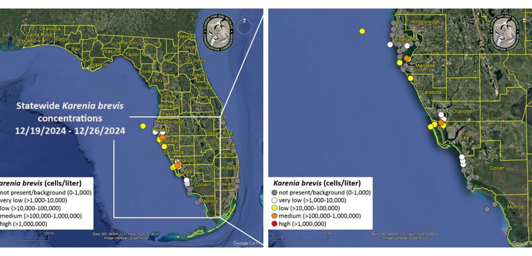 FWC red tide