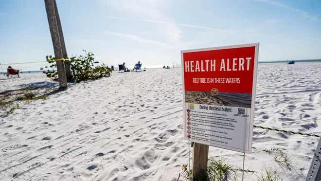 Red tide raging in Gulf as cell counts hit 20 million cells per liter off Sanibel