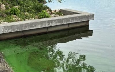 Is the Caloosahatchee headed for an algae bloom? Some places already greening up