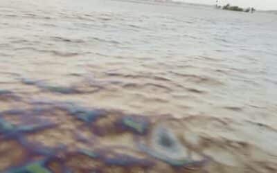 Mysterious film on Caloosahatchee raises concerns in North Fort Myers