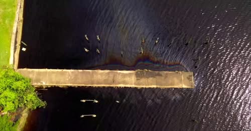 caloosahatchee spill