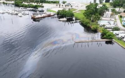 Sheen on Caloosahatchee River raises concerns over marine life