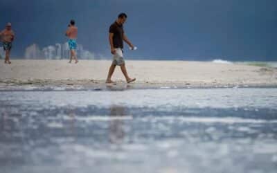 Florida is now up to 20 cases of vibrio vulnificus. See how that compares to recent years