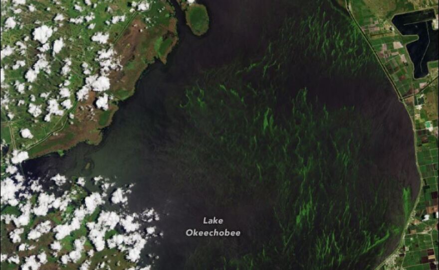 Lake O