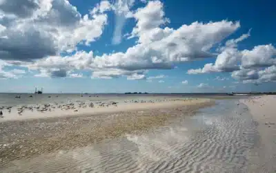 Is it safe to go in the water at Fort Myers Beach? Tests had shown poor water quality