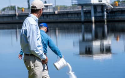 DEEP DIVE: These chemicals kill toxic algae. But are they safe?