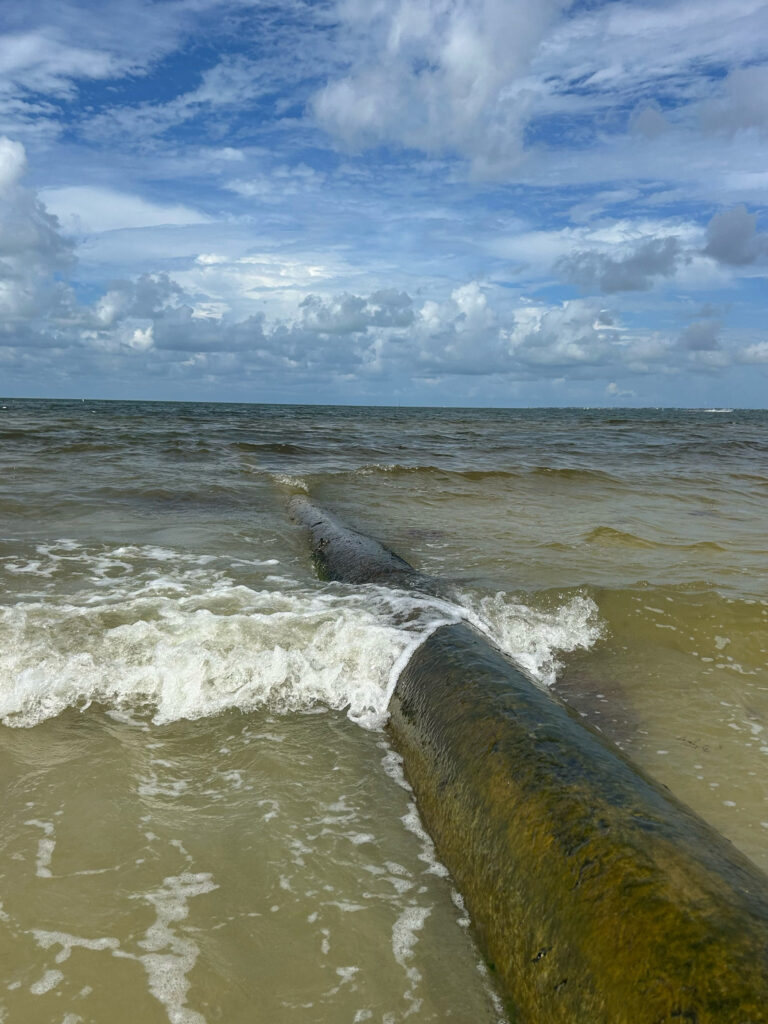 FMB nourishment pipeline