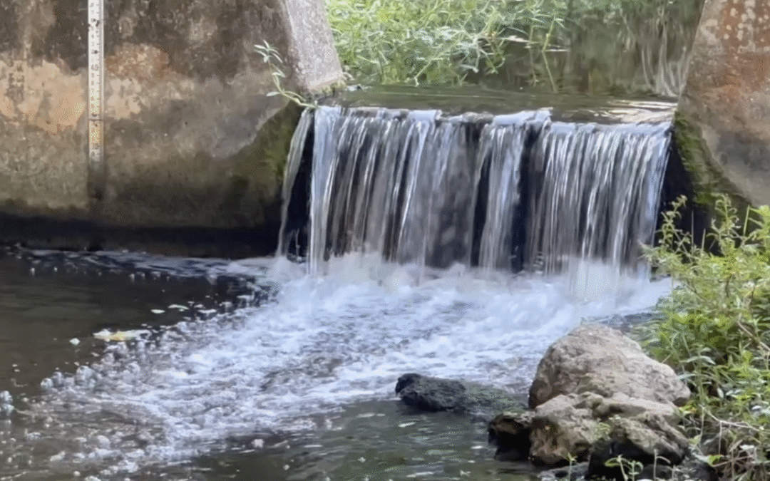 Manuels Branch weir