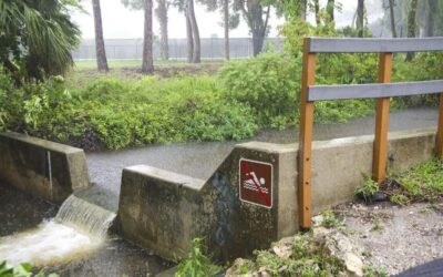 Fecal bacteria remains elevated in Fort Myers canal, city says