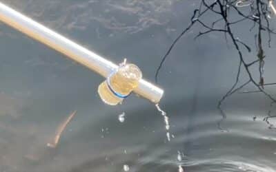 Fort Myers laid out response to fecal bacteria concerns at Manuel’s Branch