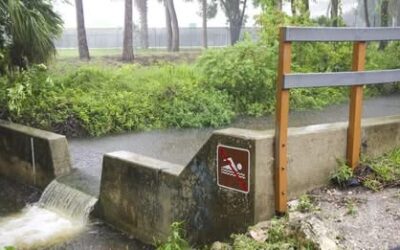 Fort Myers receives $6M grant to clean polluted canals