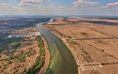 Why is blue-green algae lining miles of SW Florida’s Caloosahatchee?