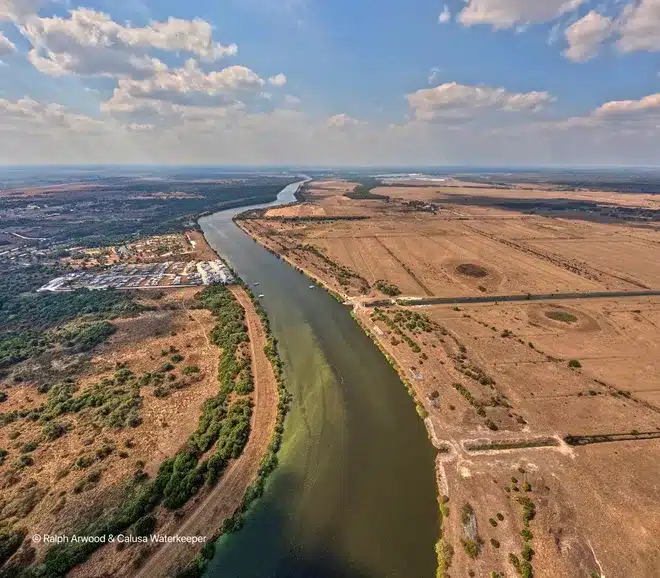 Caloosahatchee bloom