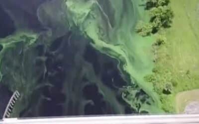 ADAM device in Lee County gives researchers a repeatable way to track algae bloom exposures