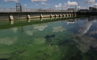 Major Sewage Spill Near LaBelle Prompts Environmental Concerns
